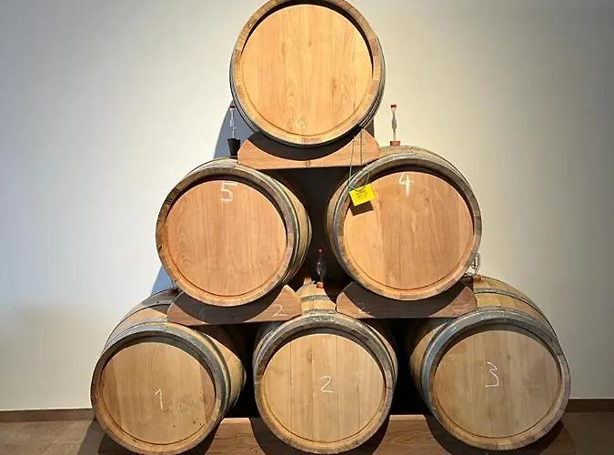 Pensjonat Johannesberg Zaječí