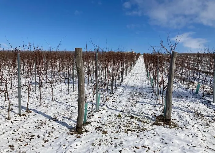 Johannesberg Pensjonat Zaječí